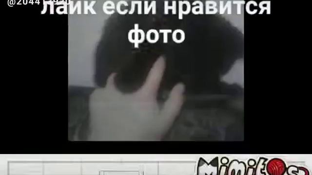 Моя любимоя кошка🐱