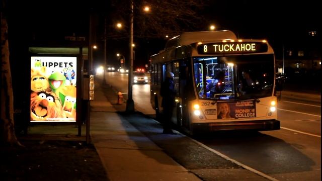 Bee-Line Bus: 40LFW Route 8 , AN460 Route 20 / 21, Orion 5 BxM4C at NYS 100 / Tuckahoe Road
