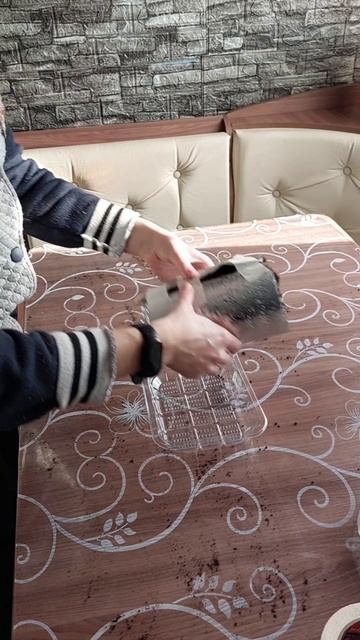 Сеем перец в улитку. Пробую этот метод