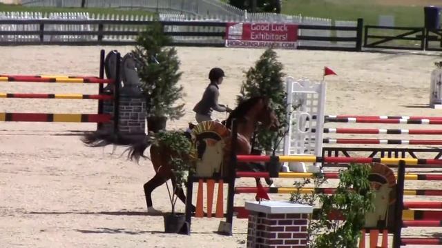 Attila 1.20m Upperville 2014