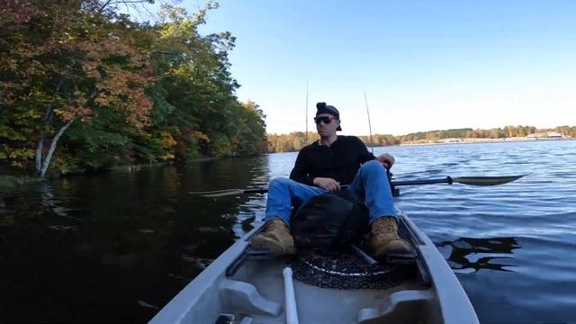 WHICH CRANKBAIT catches more bass? Rapala Shad Rap vs Berkley Flicker Shad - Crankbait Wars