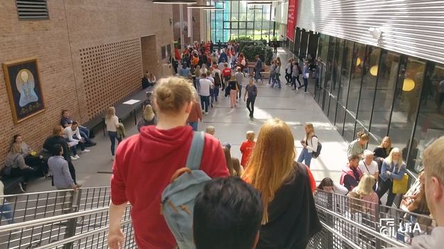 Southern Norway is the place to be. Study at UiA!