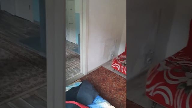 заскамил мамонта! Он просто нулёвый чел!