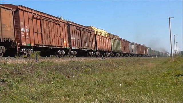 3ТЭ116У-013 с грузовым поездом