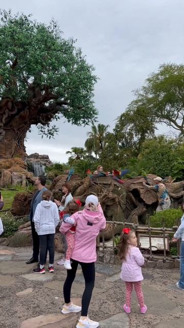LOOK AT THIS! 🦜 Disney’s Animal Kingdom #waltdisneyworld #disneyworld #macaw #disneypark