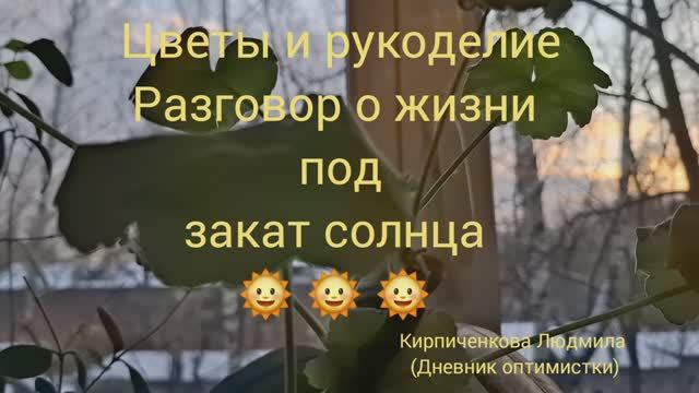 Цветок удивил, за сутки дал корешок и росток, чем ещё занимаюсь, вечерний разговор под закат солнца