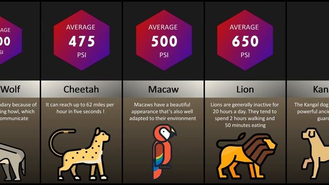 Comparison: Bite Force Power