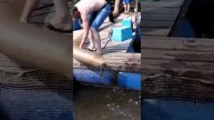 Доставка башкирского карпа