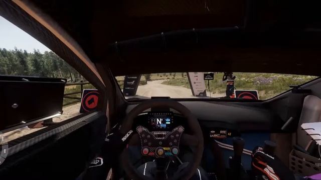 WRC Generations ustawienia Kamery ,FOV   i włączanie i wyłączanie wirtualnej kierownicy