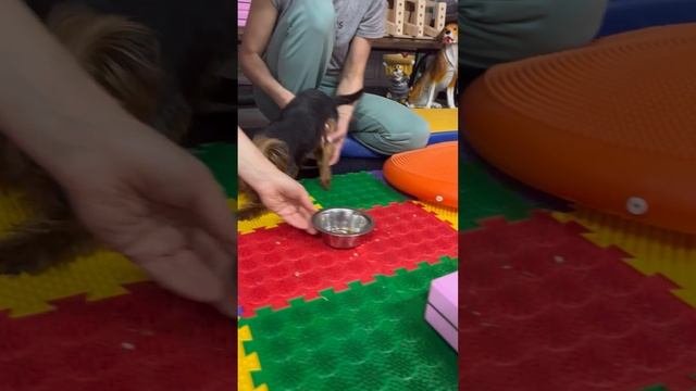 Тася занимается в нашем центре реабилитации для малышей «Домик Мелкашей».