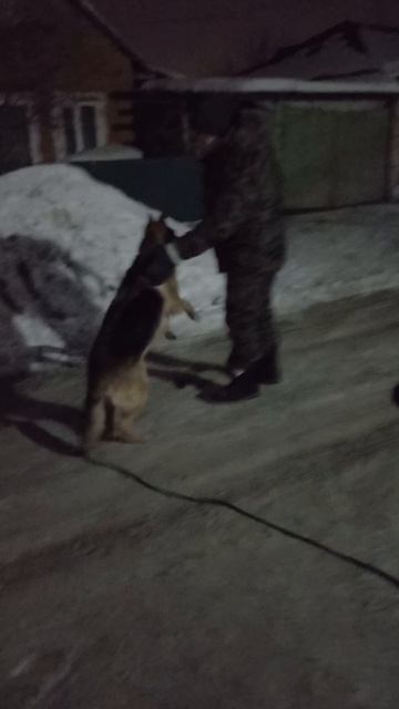 Альфа