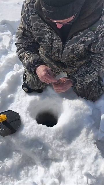 ЩУКА