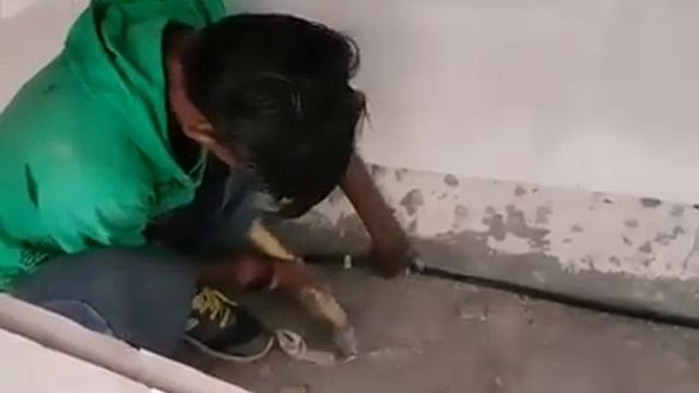 Termite piping technique.