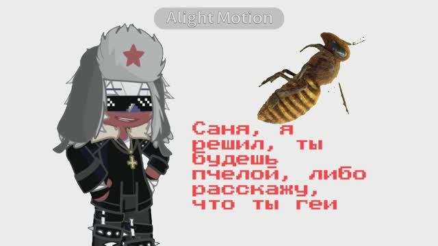 Саня стал пчелой 😱?? // Countryhumans meme // Alightmotion animation // Gacha life