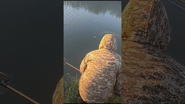 Дагестан р.Средняя (сазан) (молодое поколение)