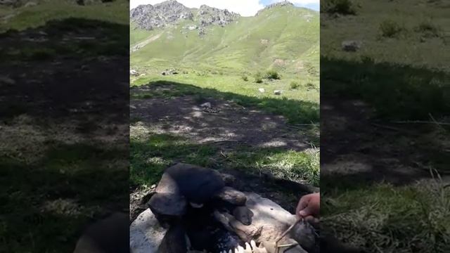 Хочора шашлик кадем 14 05 2021