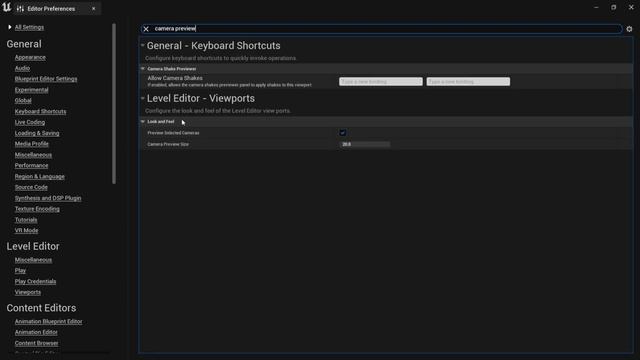 Unreal Engine 5 Quick Tip | Change Camera Preview Size