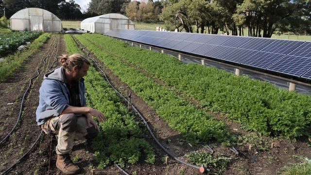 WPCLN Organic Vegetable and Fruit Growers Discussion Group – Mikey at Mossy Willow farm walk