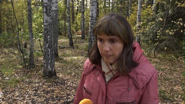 Общественники Академгородка обеспокоены судьбой участка леса рядом с Домом ученых //Новости 25.09.2