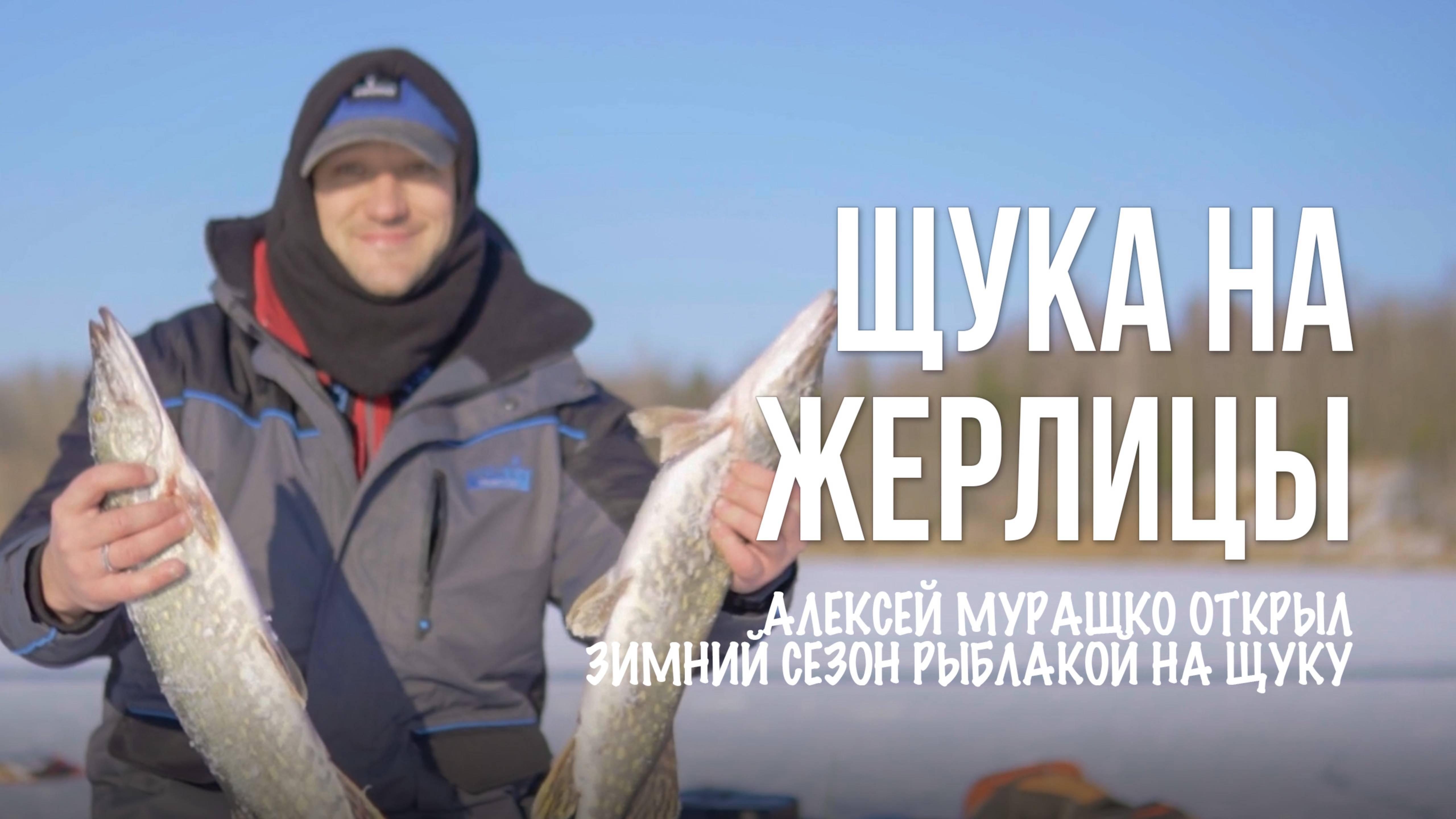 Как поймать щуку зимой: жерлицы, поклевки, вываживание и секреты ловли