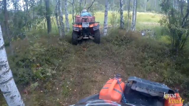 Нашли новый маршрут через болото