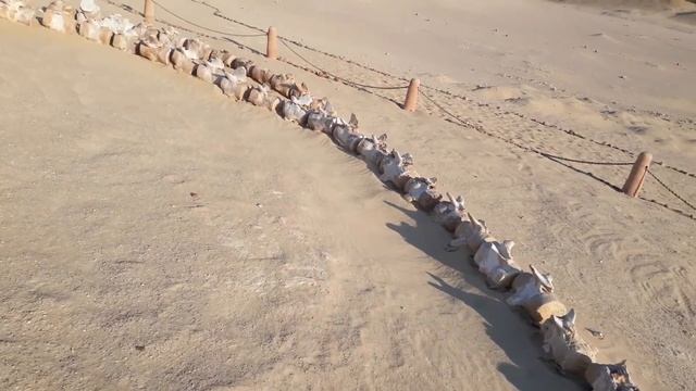 رحله لأقدم منطقه فالتاريخ بها حوريه البحر الحقيقيه