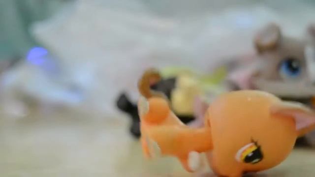 LPS-УПРТ ВСТРЕЧКА(͡° ͜ʖ ͡°)