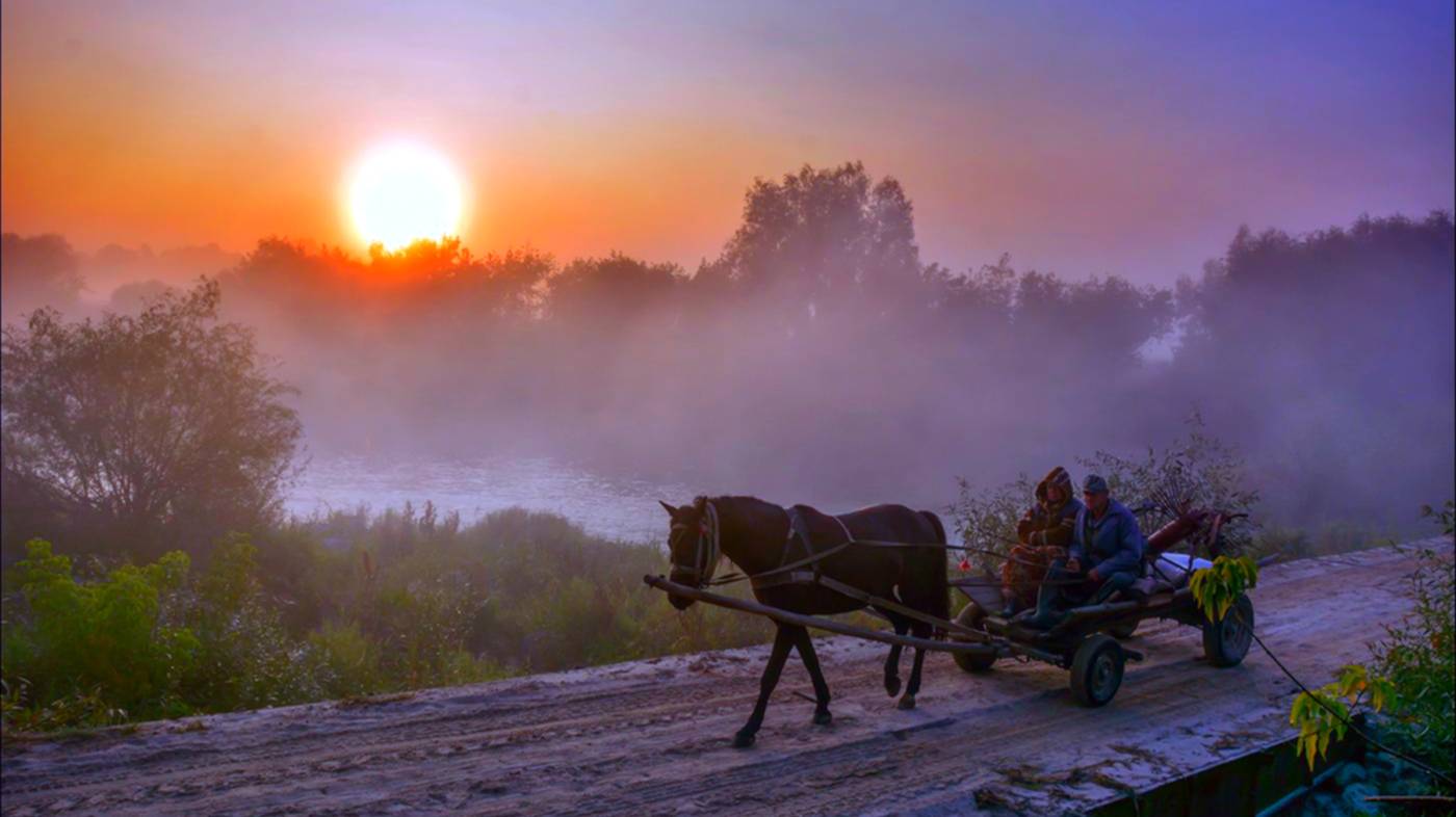 Фельения. Часть первая, глава первая