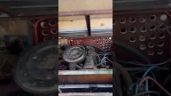 гусь Н1