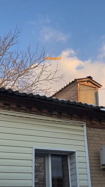 все идет своим чередом