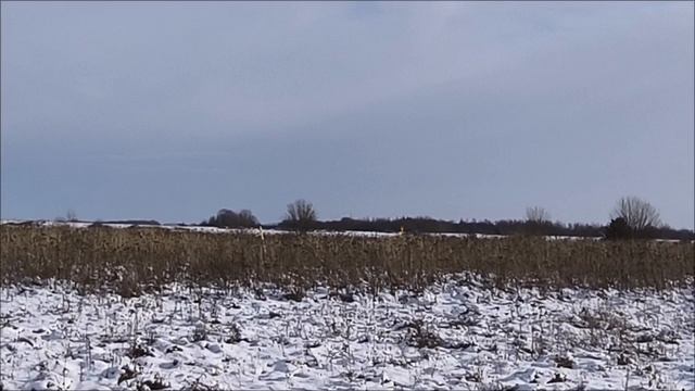 1000045714.mp4
