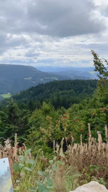 TVRs in the Black Forest #tvr #supercar #blackforest #supercar #exoticcar #landscape