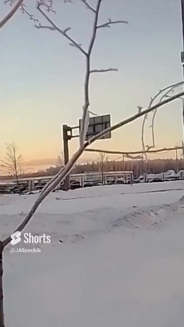 Деревья в инее.mp4