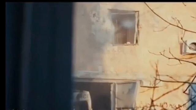Сегодня Воюют Они