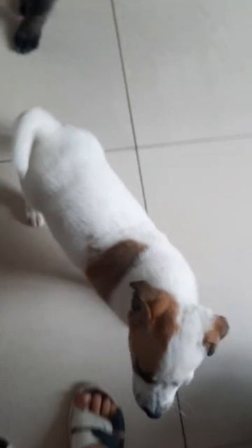1000074690.mp4