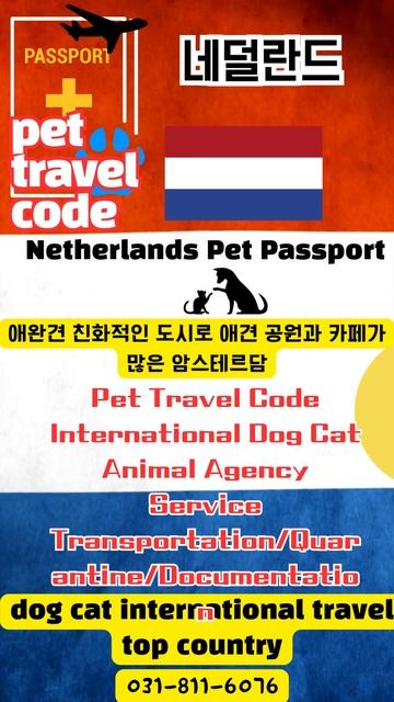 반려동물 강아지 고양이 국제 여행하기 좋은 나라-6   Good Pet Travel Travel Countries - Netherlands Pet Passport #쇼츠 #네덜란