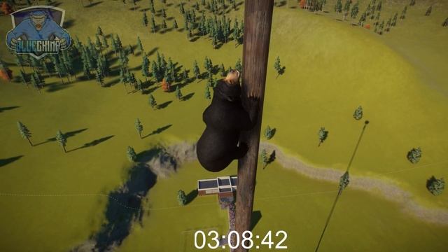 Amur Leopard, Caracal, Clouded Leopard, Sun Bear, Sloth Bear | Planet Zoo Climbing Race