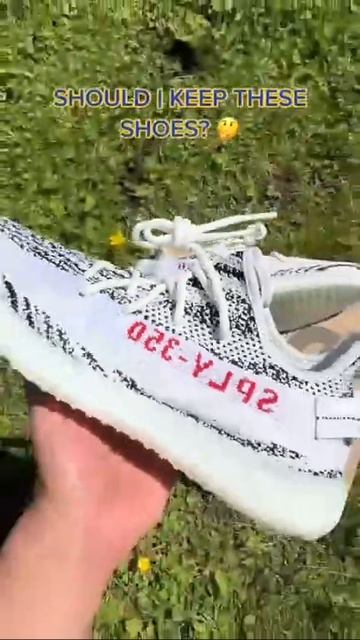 yeezy 350 v2 zebra show,tell me you size?
