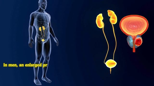 6 Silent Signs Your Kidneys Are Dying!!(What  Your Body is Trying To Tell You)