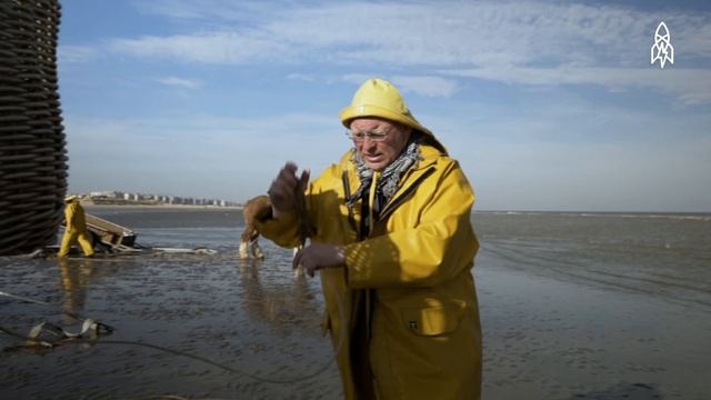 Shrimp Fishing on Horseback for 700 Years