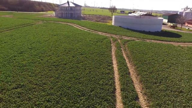 Fendt vario 312|Amazone ux 4200 spezial [Phantom 3] [GoPro]
