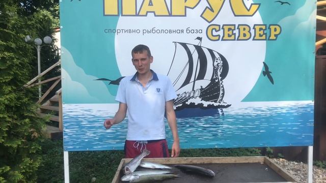 Субботний улов до 11:00