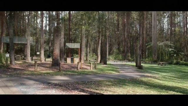 DJI Spark - Trees & Shrubs
