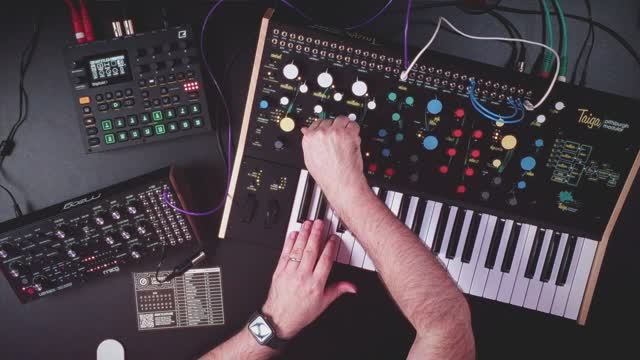 Tefty & Meems Moog Labyrinth Jam with Digitakt 2, Taiga, and live vocals