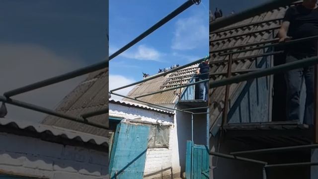 Очень красивые голуби!(Херсонская область,Александр Трегубенко)