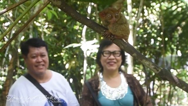 Delia P. Salvador /Tour in BUHOL Philippines  / Tarsier /  October 28, 2023   Edited