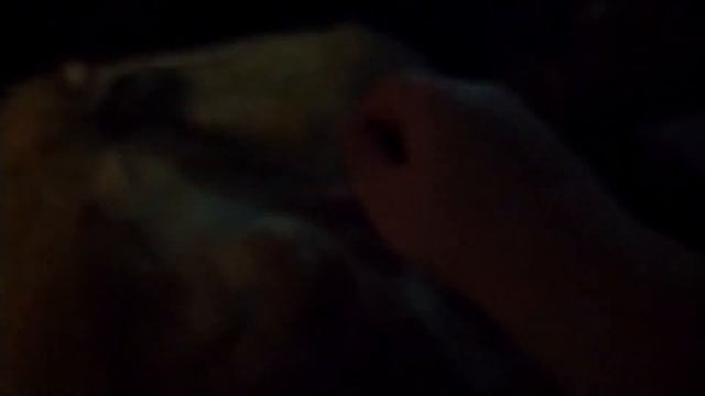 Глажу Анино пузико/Anya's getting bellyrubs