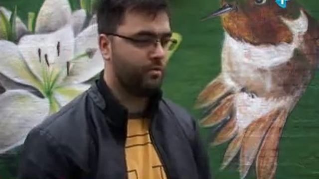 Murali pretvaraju sivilo u umetnost
