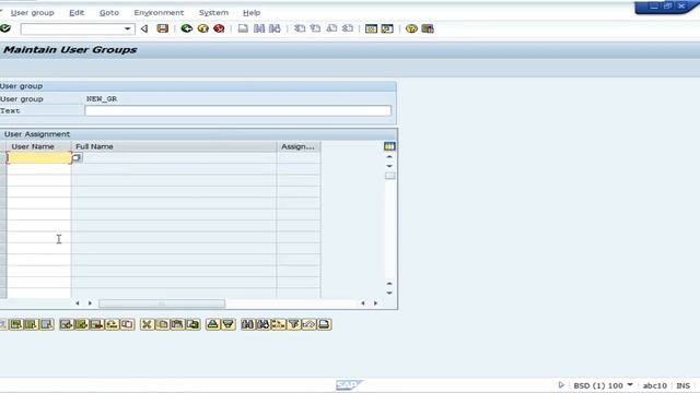 Create the user group in SAP