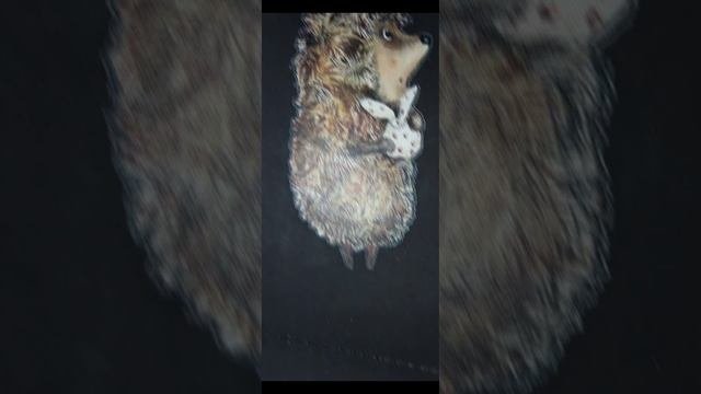 Ёжик в тумане Обложка Анимация обложки с альтернативным саундтреком #топыкатегорий